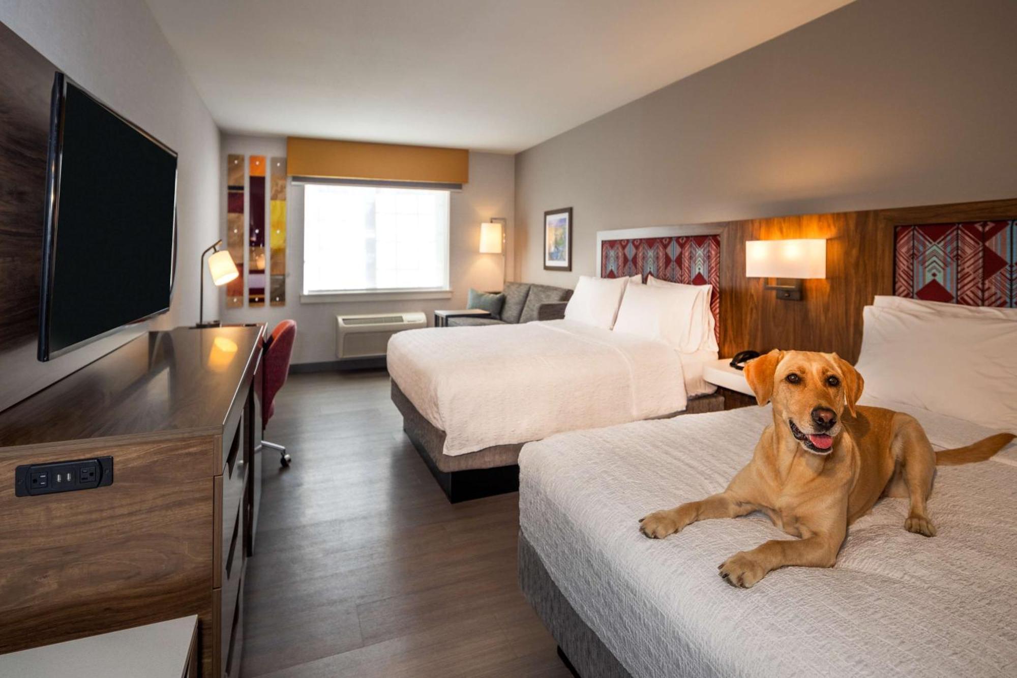 Hampton Inn بولمان المظهر الخارجي الصورة